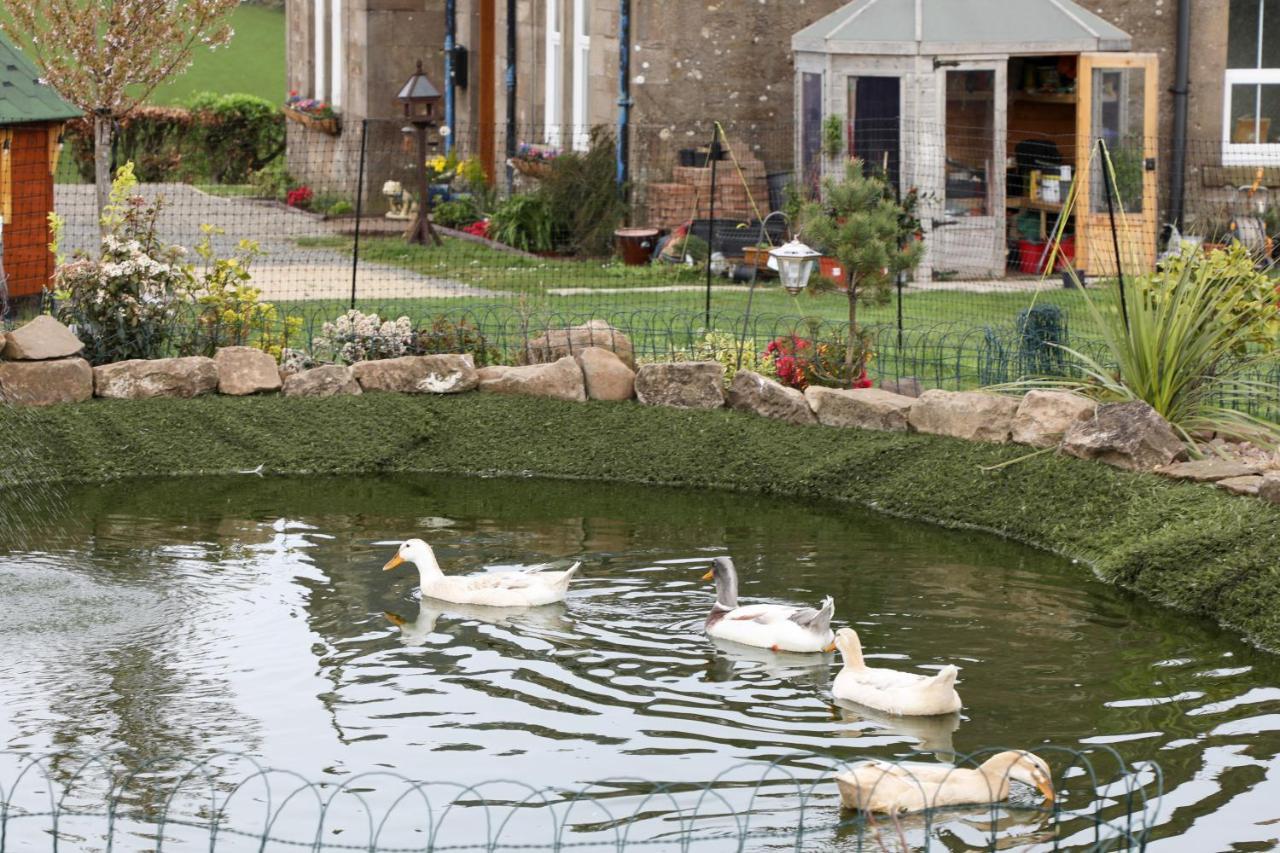 Park Farmhouse, Luxury Bed & Breakfast, Turnberry Exteriér fotografie